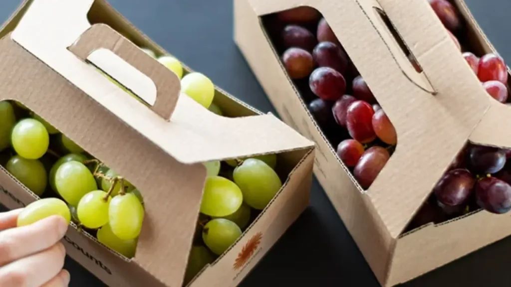 corrugated paper for food packaging